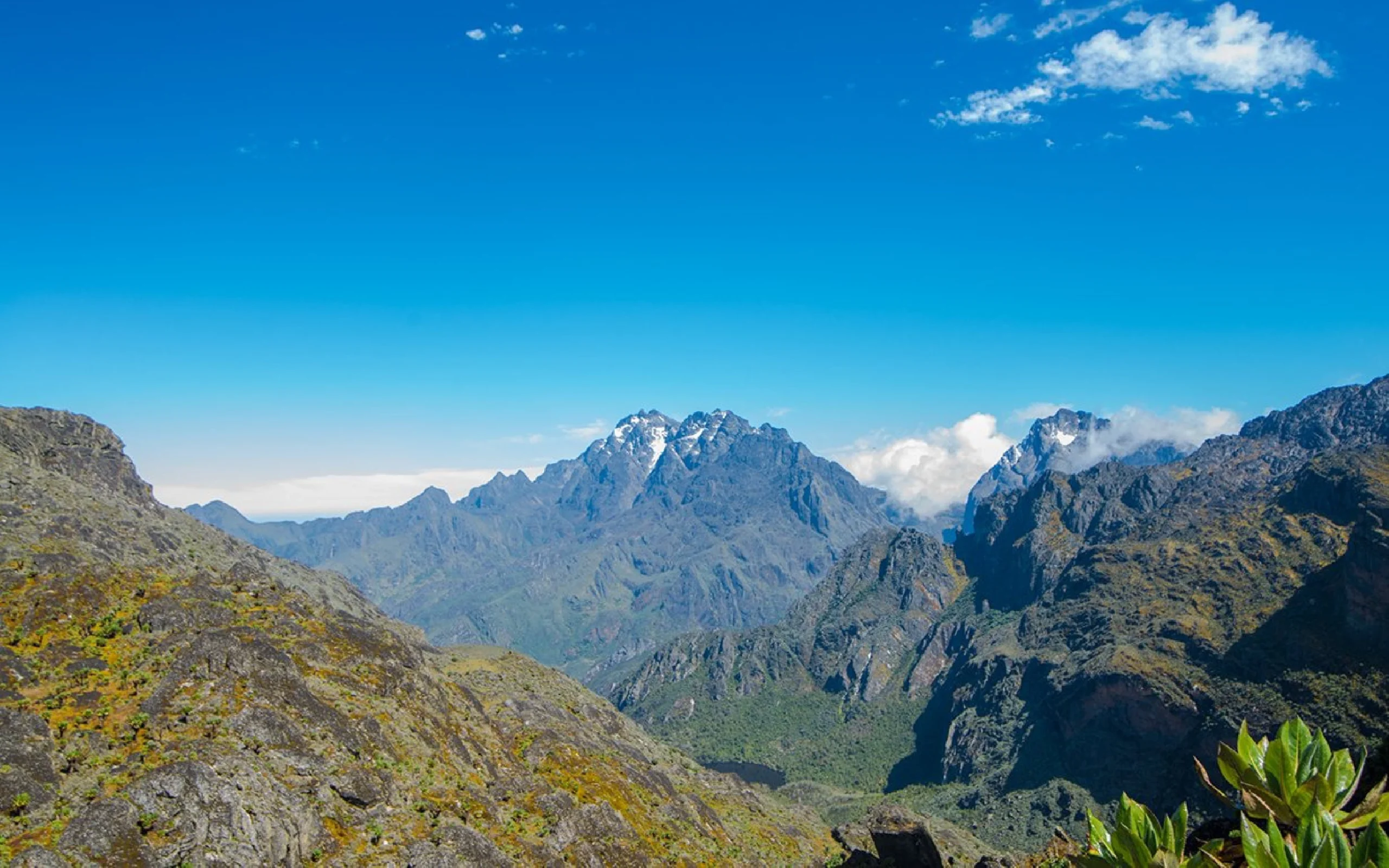Rwenzori Mtns by SsebuumaIvan