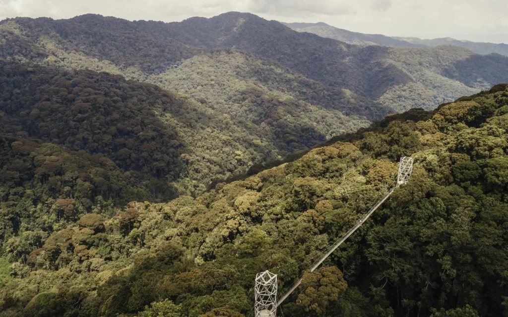 Visit-Rwanda-NH_OO_Lifestyle_Drone_Canopy_Walk_0803_MASTER-1920×1280