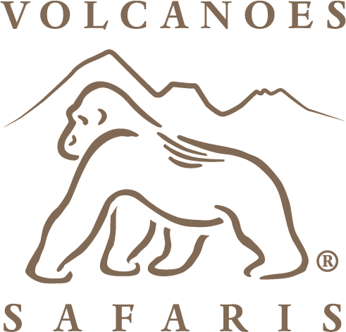 Volcanoes-Safaris-Logo1