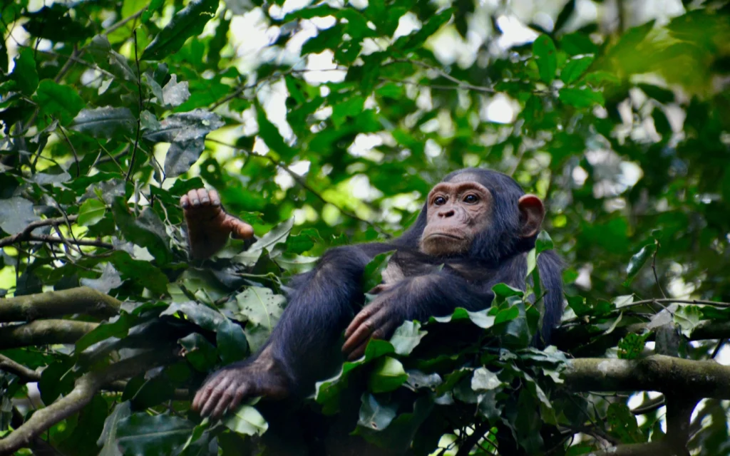 fabiana-rizzi-XQZv-zYOFyM-unsplash