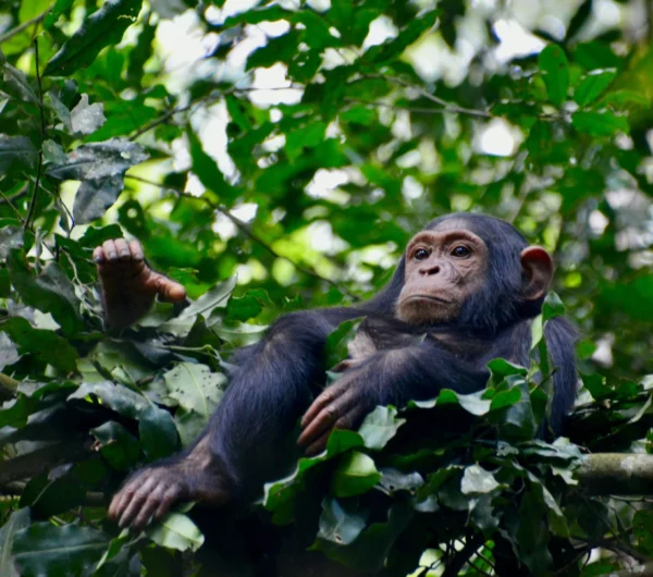 fabiana-rizzi-XQZv-zYOFyM-unsplash