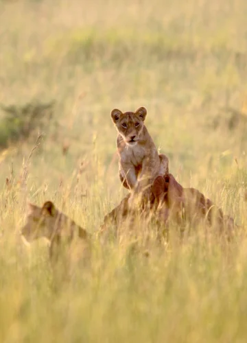 gabriel-schumacher-Jn91mNyfEZs-unsplash