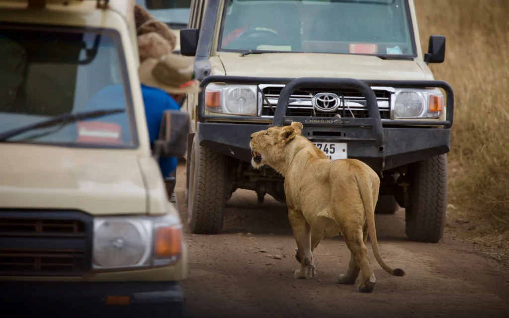 magdalena-kula-manchee-tRoiaFbHEXw-unsplash