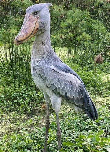 melissa-askew--OOGt3Yede0-unsplash