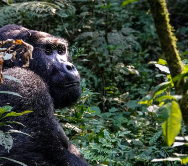 nathalie-lays-Lb65e5jMBMo-unsplash