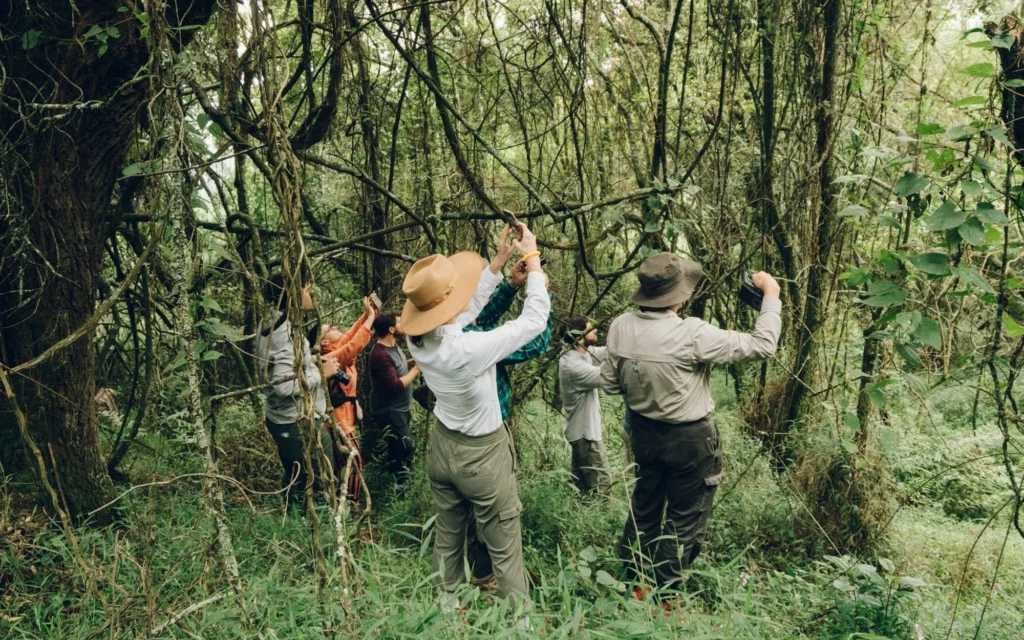 random-institute-i9JH0hyFEgk-unsplash