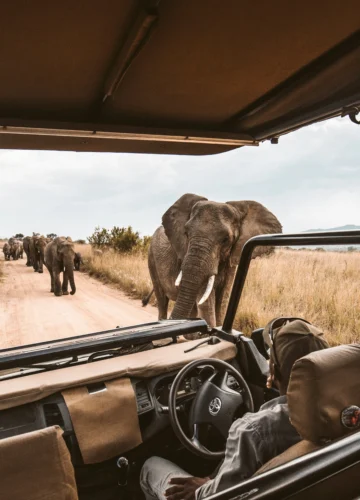 redcharlie-nf7W_hn6DKQ-unsplash