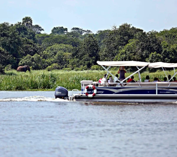 river_nile_boat_cruise-murchison_falls-17-14-1