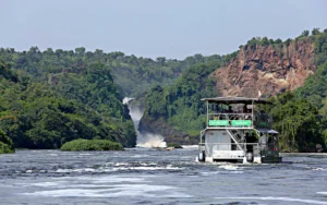 river_nile_boat_cruise-murchison_falls-17-51-1