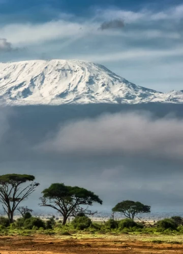 sergey-pesterev-mfX814jtyro-unsplash