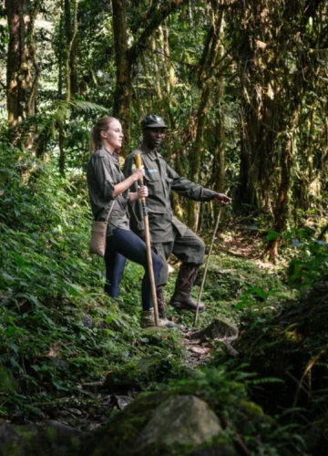 uganda-bwindi-sactuary-gorilla-forest-camp-16-1200x800