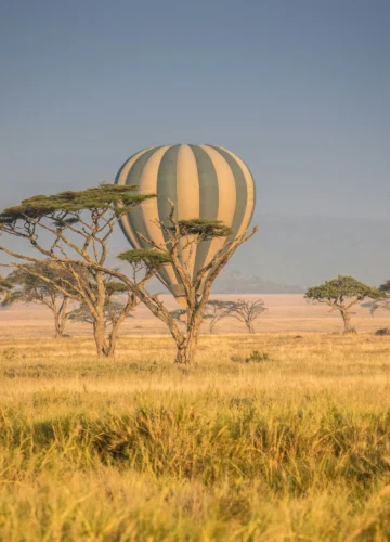 wolf-schram-6GXfFoBRSAw-unsplash