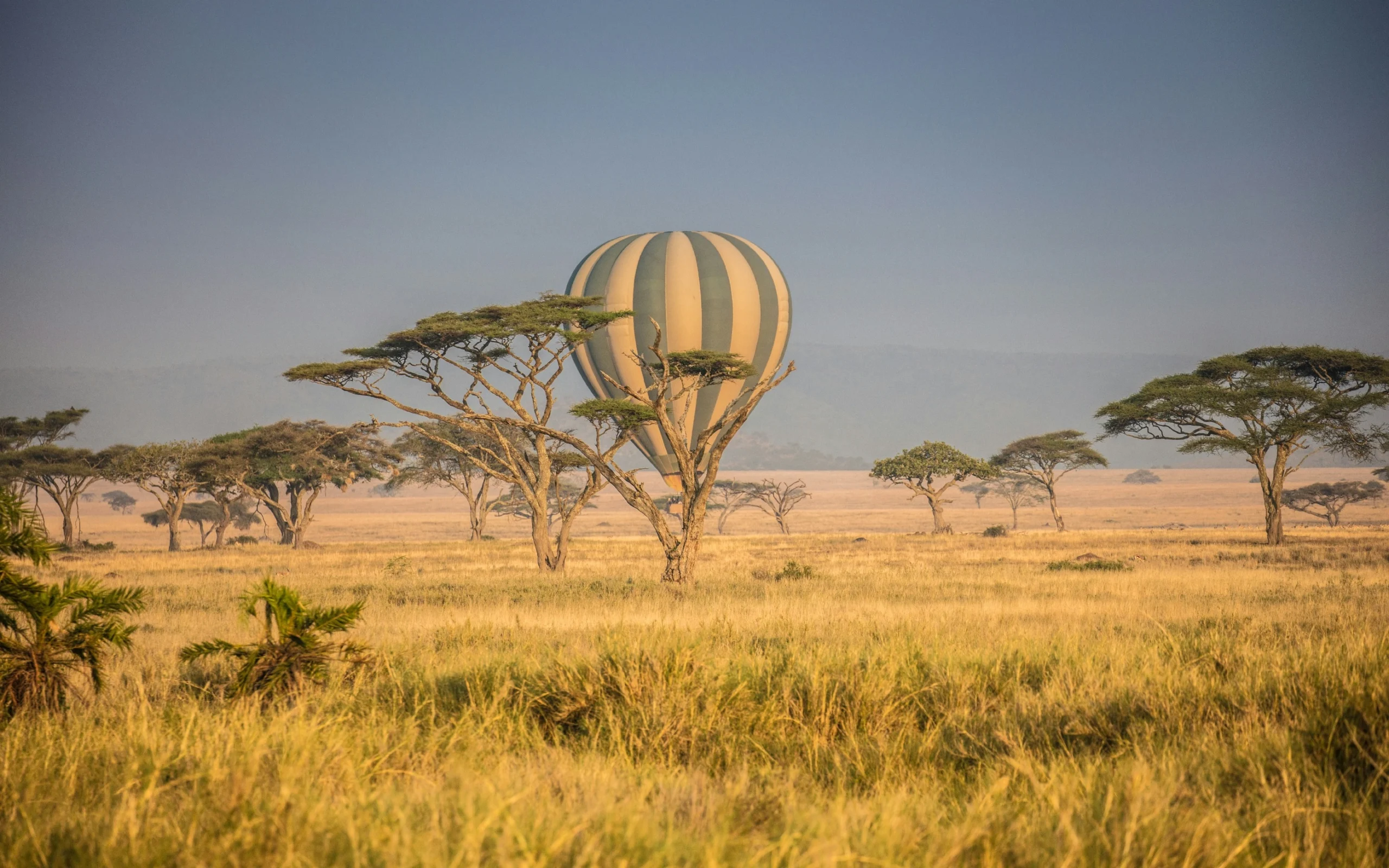 wolf-schram-6GXfFoBRSAw-unsplash