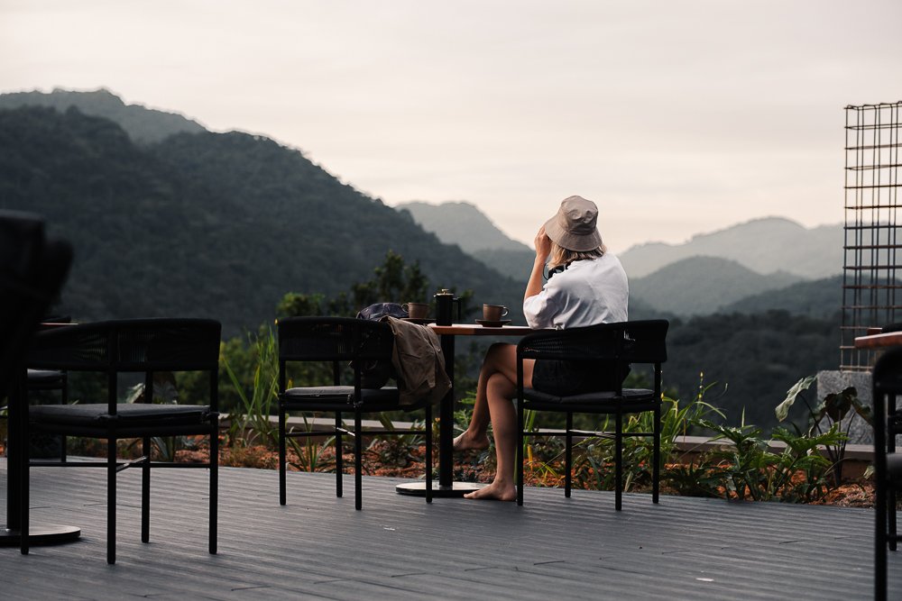 Silverback_breakfast_viewing_Deck