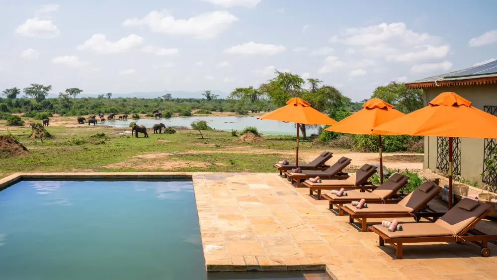 TRS-Swimming-pool-2-scaled-1