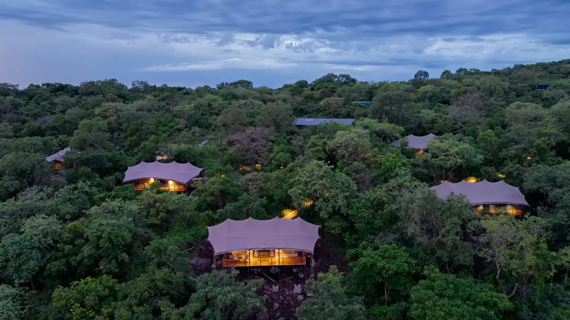 Pabidi Lodge